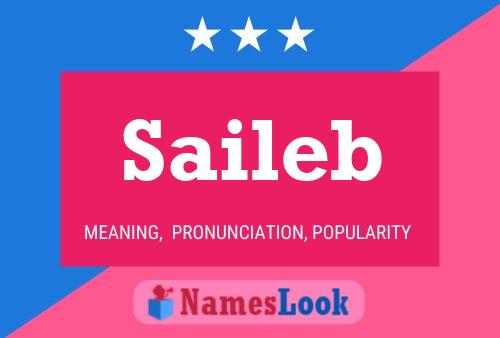 Saileb Name Poster