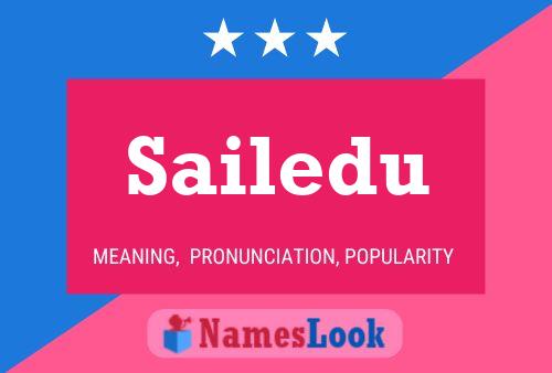 Sailedu Name Poster