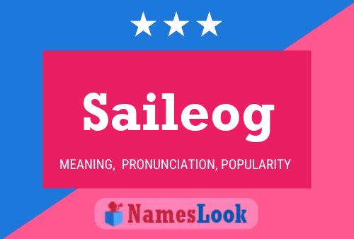 Saileog Name Poster