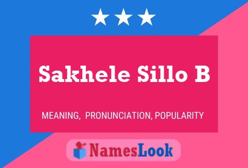 Sakhele Sillo B Name Poster