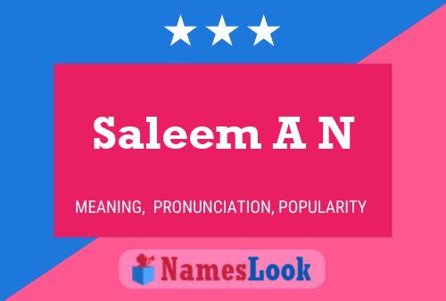 Saleem A N Name Poster