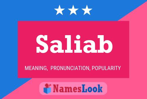 Saliab Name Poster