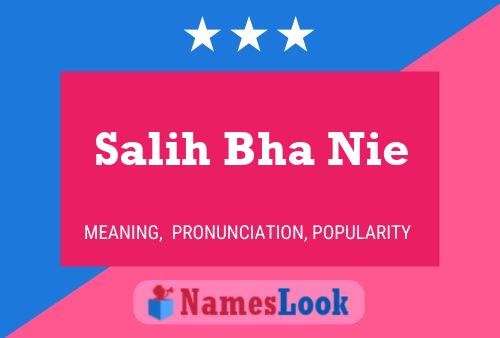 Salih Bha Nie Name Poster