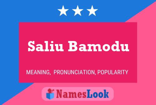 Saliu Bamodu Name Poster