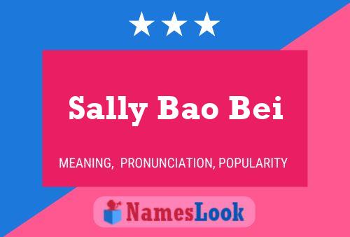 Sally Bao Bei Name Poster