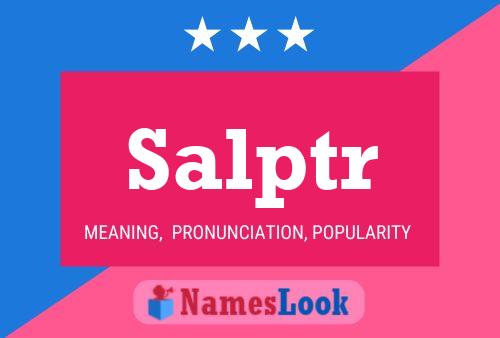 Salptr Name Poster