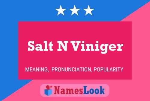 Salt N Viniger Name Poster