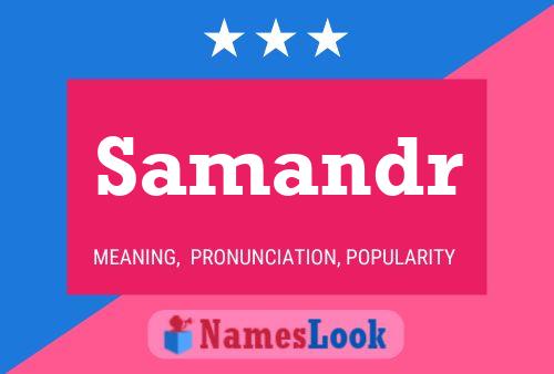 Samandr Name Poster