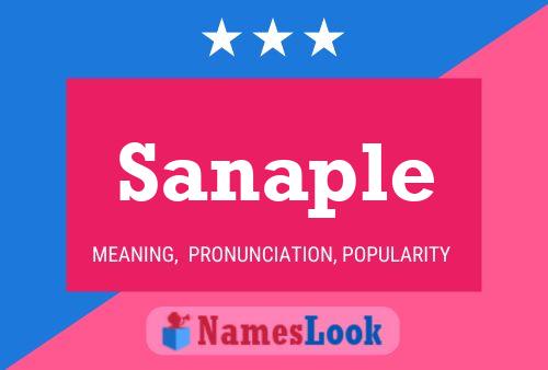 Sanaple Name Poster