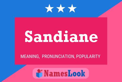 Sandiane Name Poster