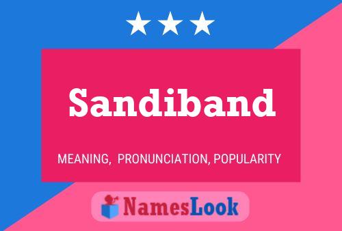 Sandiband Name Poster