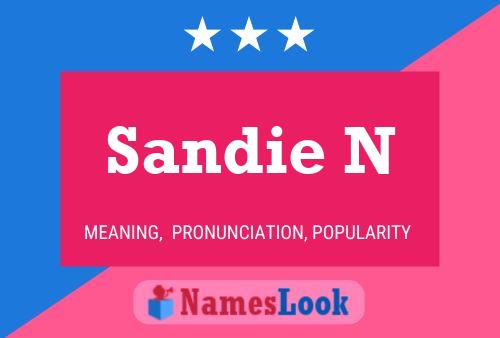 Sandie N Name Poster