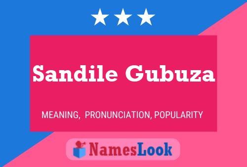 Sandile Gubuza Name Poster