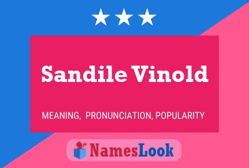 Sandile Vinold Name Poster