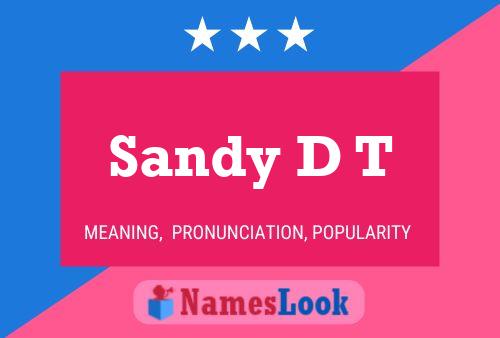 Sandy D T Name Poster