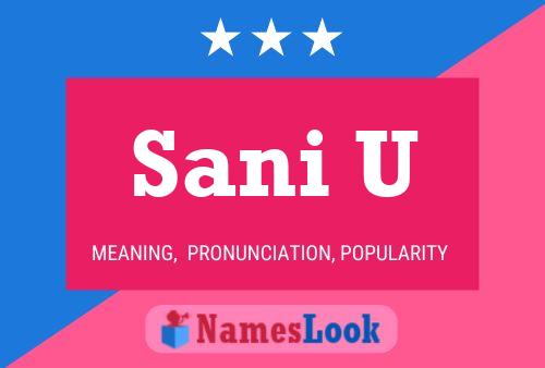 Sani U Name Poster