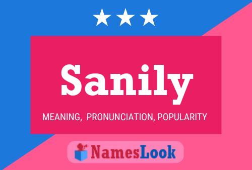 Sanily Name Poster