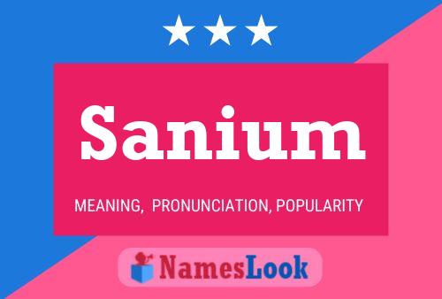 Sanium Name Poster