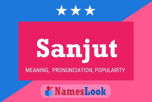 Sanjut Name Poster