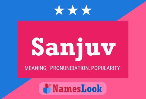 Sanjuv Name Poster