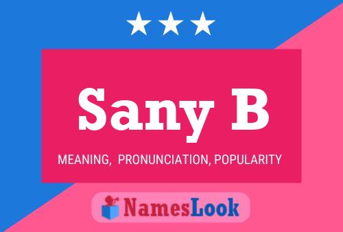 Sany B Name Poster