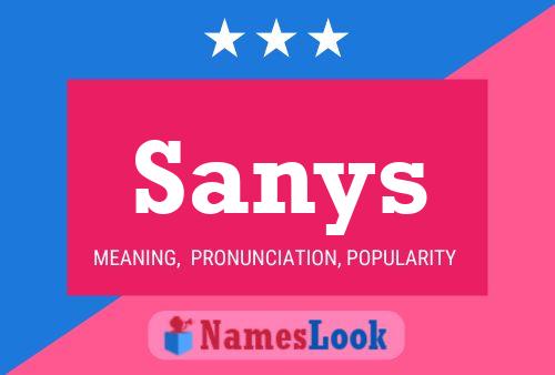 Sanys Name Poster