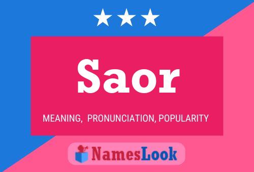 Saor Name Poster