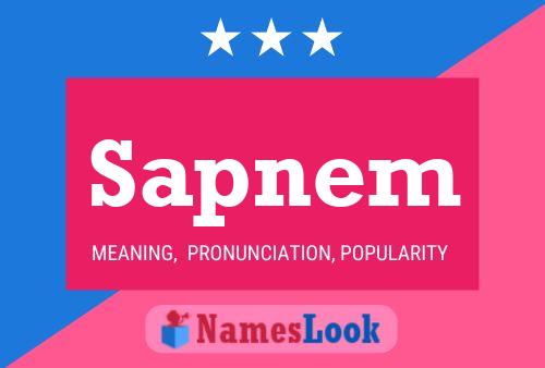 Sapnem Name Poster