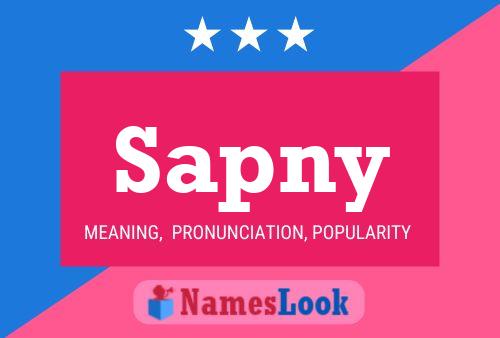 Sapny Name Poster