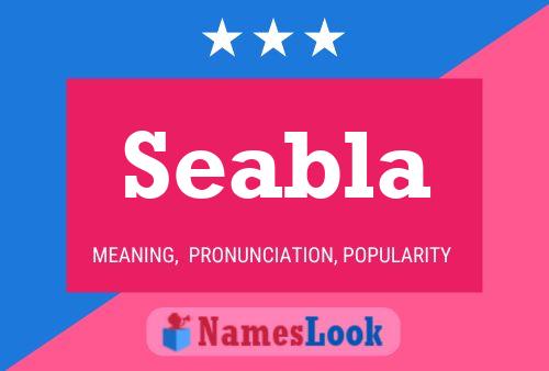 Seabla Name Poster