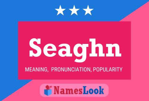 Seaghn Name Poster