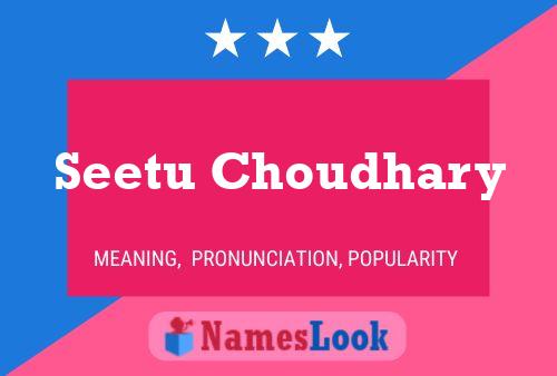 Seetu Choudhary Name Poster