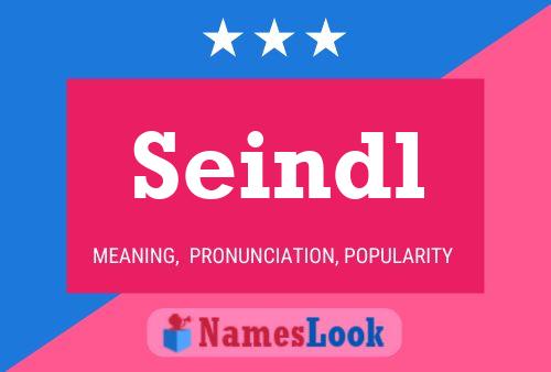 Seindl Name Poster