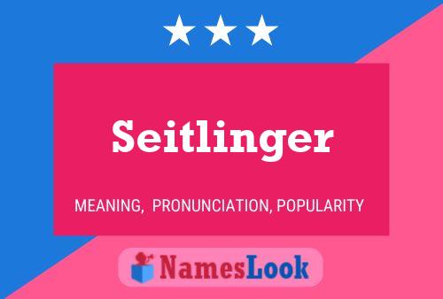 Seitlinger Name Poster