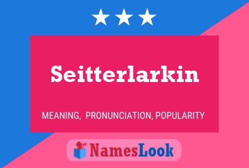 Seitterlarkin Name Poster