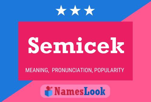 Semicek Name Poster