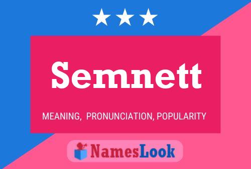 Semnett Name Poster