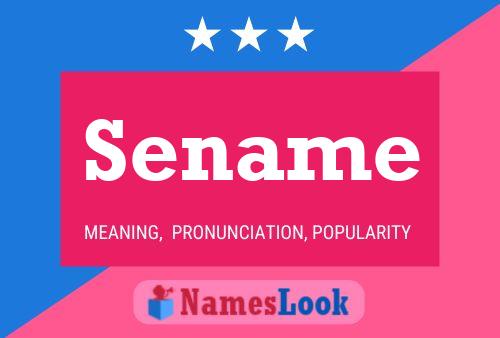 Sename Name Poster