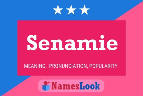 Senamie Name Poster