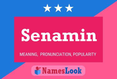 Senamin Name Poster