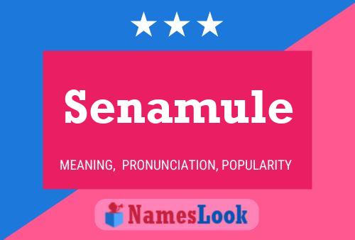 Senamule Name Poster