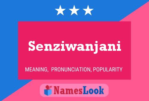 Senziwanjani Name Poster