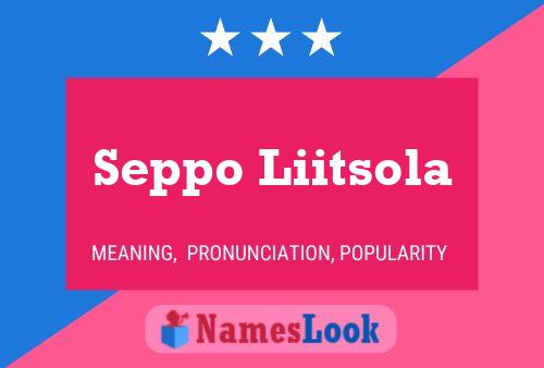 Seppo Liitsola Name Poster