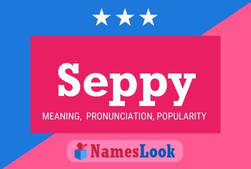 Seppy Name Poster