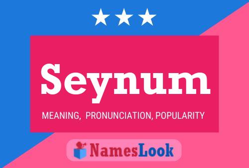 Seynum Name Poster