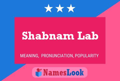 Shabnam Lab Name Poster