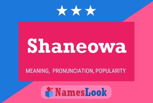 Shaneowa Name Poster