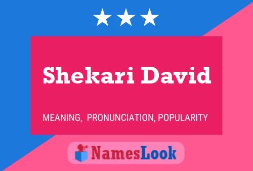 Shekari David Name Poster