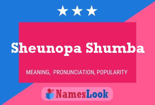 Sheunopa Shumba Name Poster