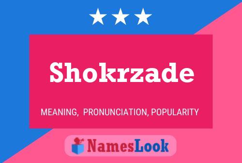 Shokrzade Name Poster